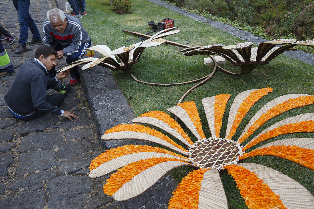 carpet of flowers for the procession, Corpus Christi, Feast of Corpus Christi, Villa de Mazo, UNESCO Biosphere Reserve, La Palma, Canary Islands, Spain, Europe