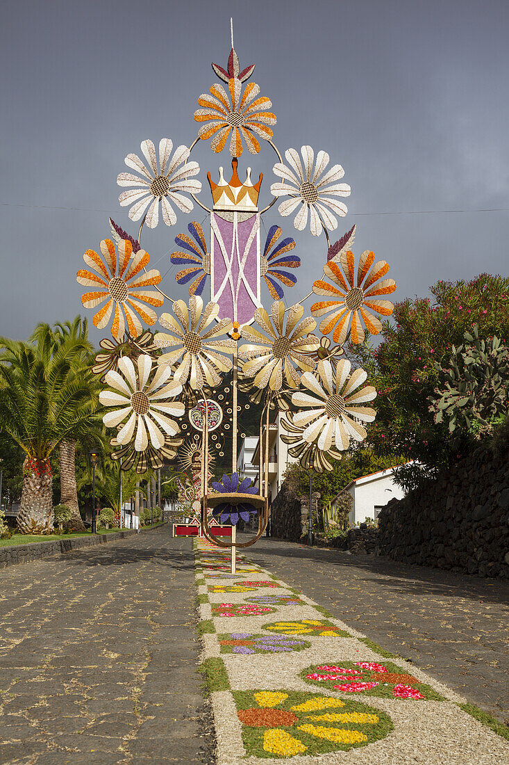 carpet of flowers for the procession, Corpus Christi, Feast of Corpus Christi, Villa de Mazo, UNESCO Biosphere Reserve, La Palma, Canary Islands, Spain, Europe