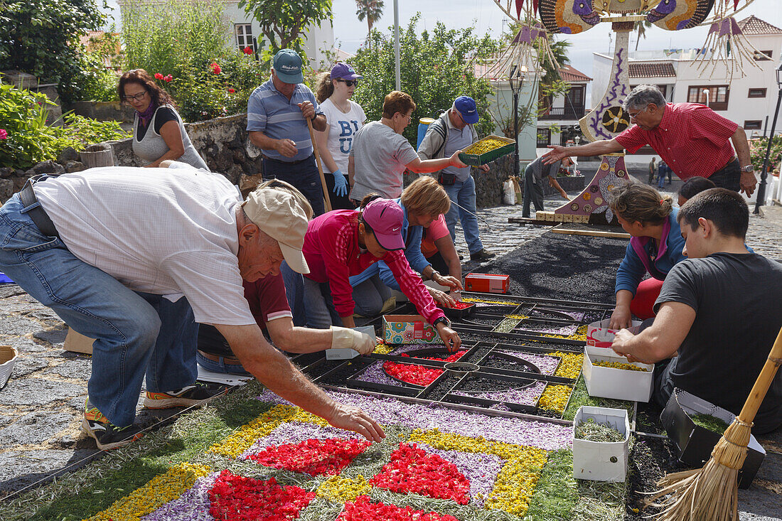 Blütenteppiche für die Prozession, Corpus Christi, Fronleichnahmsfest,Villa de Mazo, UNESCO Biosphärenreservat,  La Palma, Kanarische Inseln, Spanien, Europa