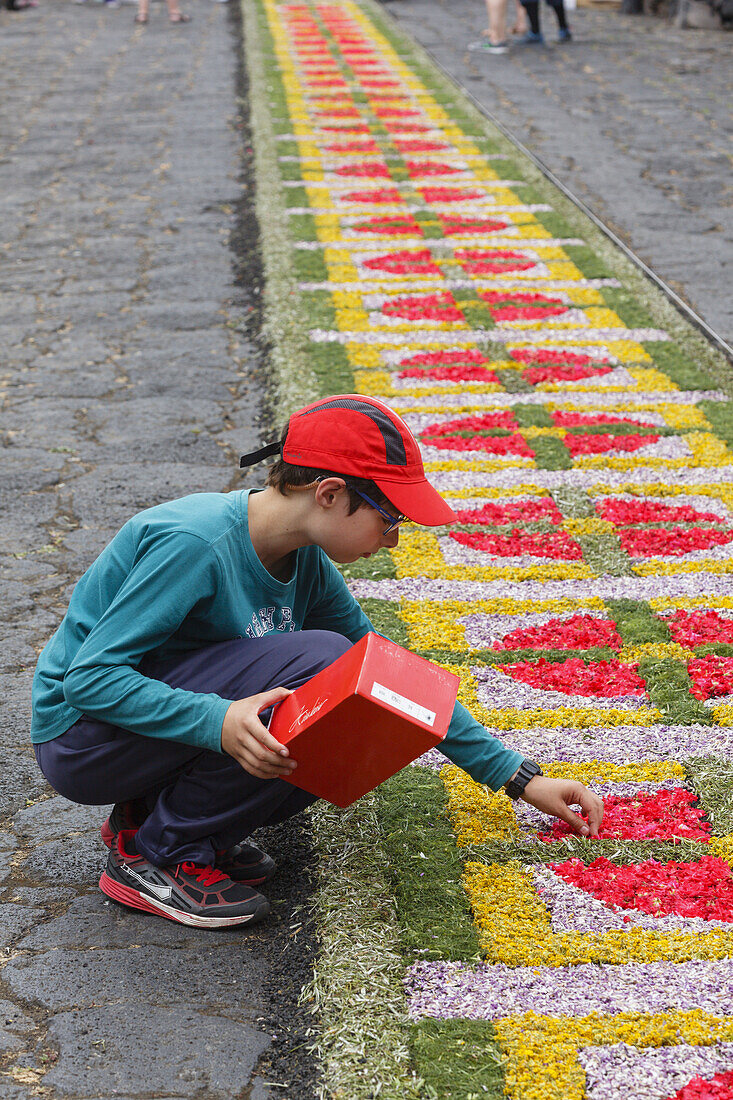 Blütenteppiche für die Prozession, Corpus Christi, Fronleichnahmsfest,Villa de Mazo, UNESCO Biosphärenreservat,  La Palma, Kanarische Inseln, Spanien, Europa