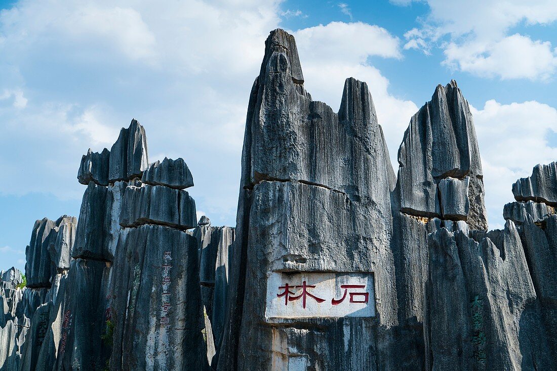 The Stone Forest, Shilin Yi Autonomous County, Yunnan Province, China, Asia, UNESCO World Heritage Site.