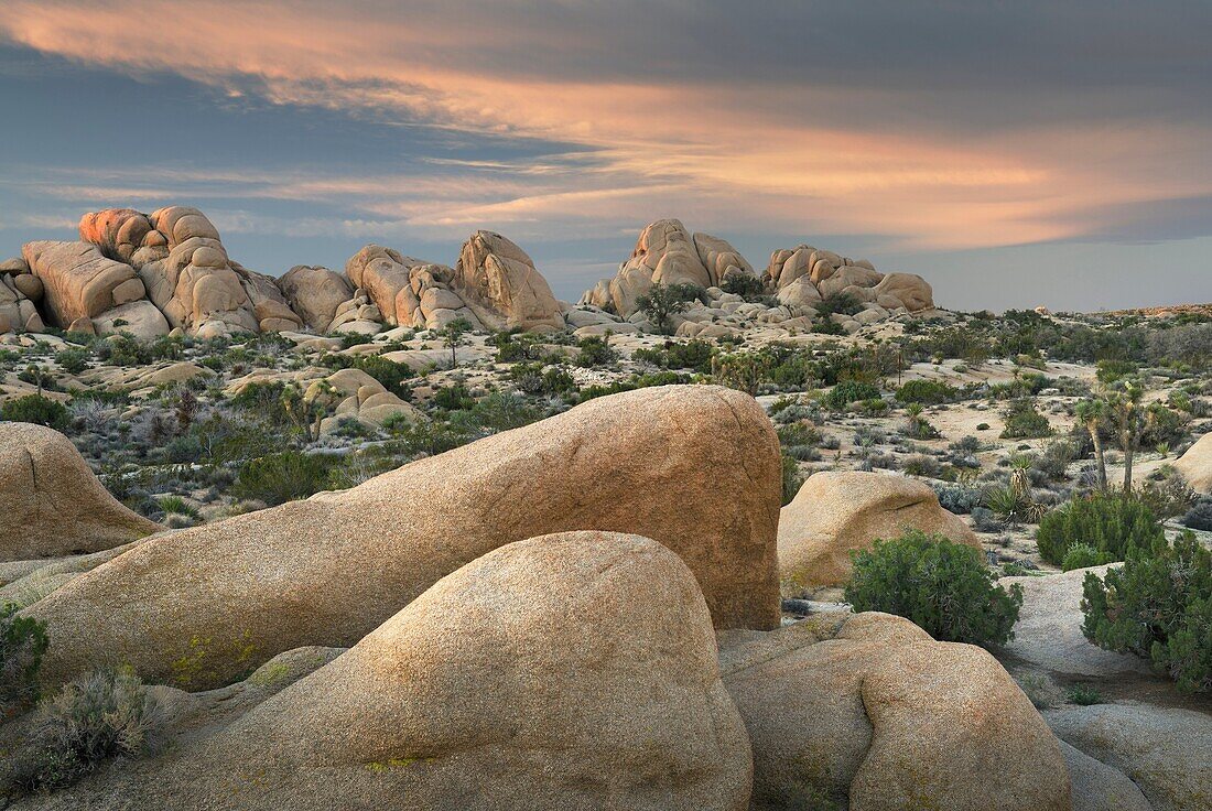 Jumbo Rocks area of Joshua Tree National Park California.