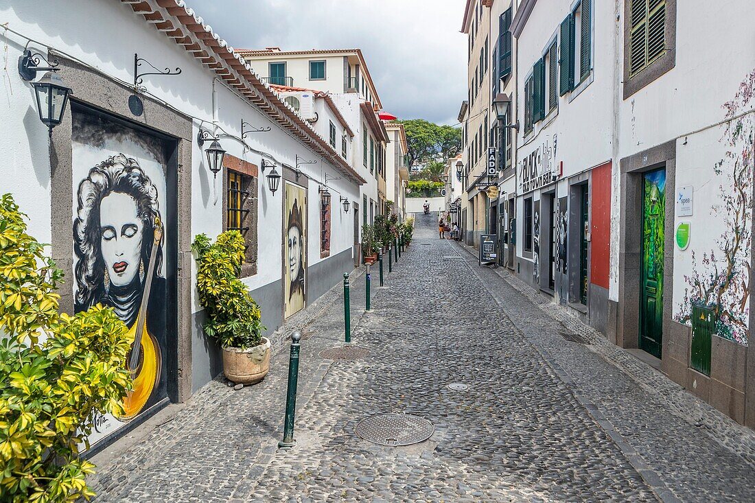 Arte de Portas Abertas, painted on the doors of Tv. das Torres, Funchal's Old Town, Madeira, Portugal.