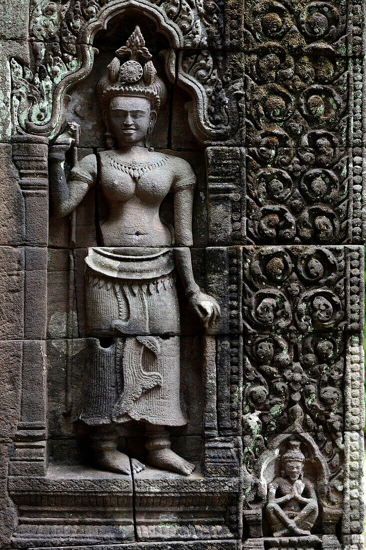 Relief of apsara on the wall of Wat Phou,South Laos,Southeast Asia.