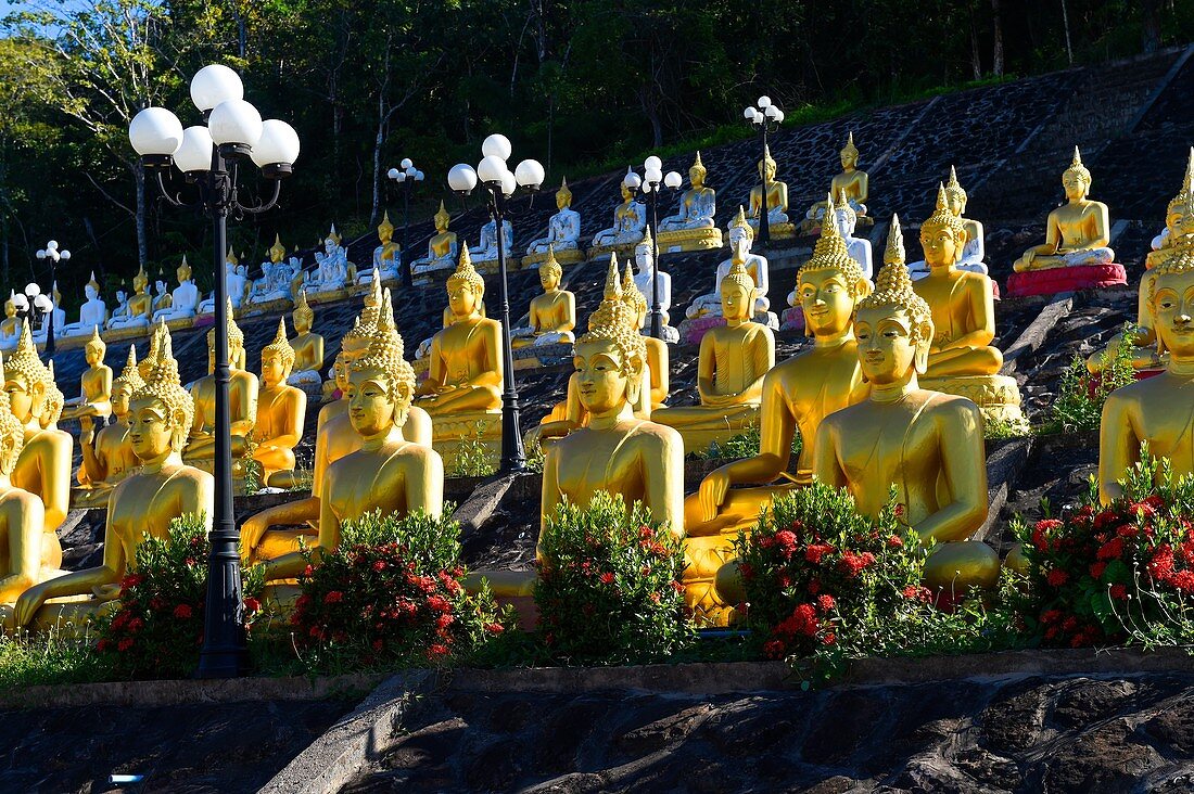 Golden Buddha near Pakse,South Laos,Southeast Asia.