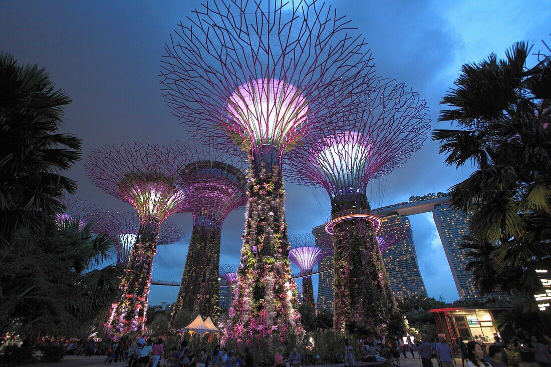 Singapore, Gardens by the Bay, Supertree Grove,.