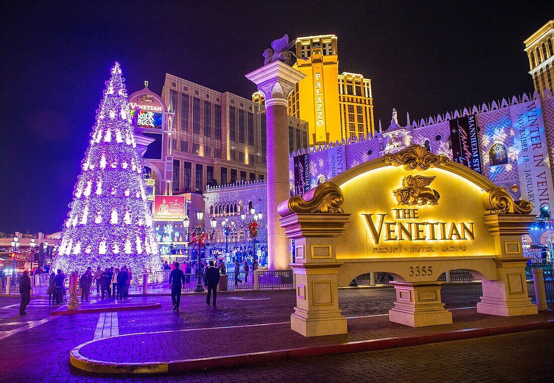 The Venetian hotel & Casino in Las Vegas. With more than 4000 suites it's one of the most famous hotels in the world.