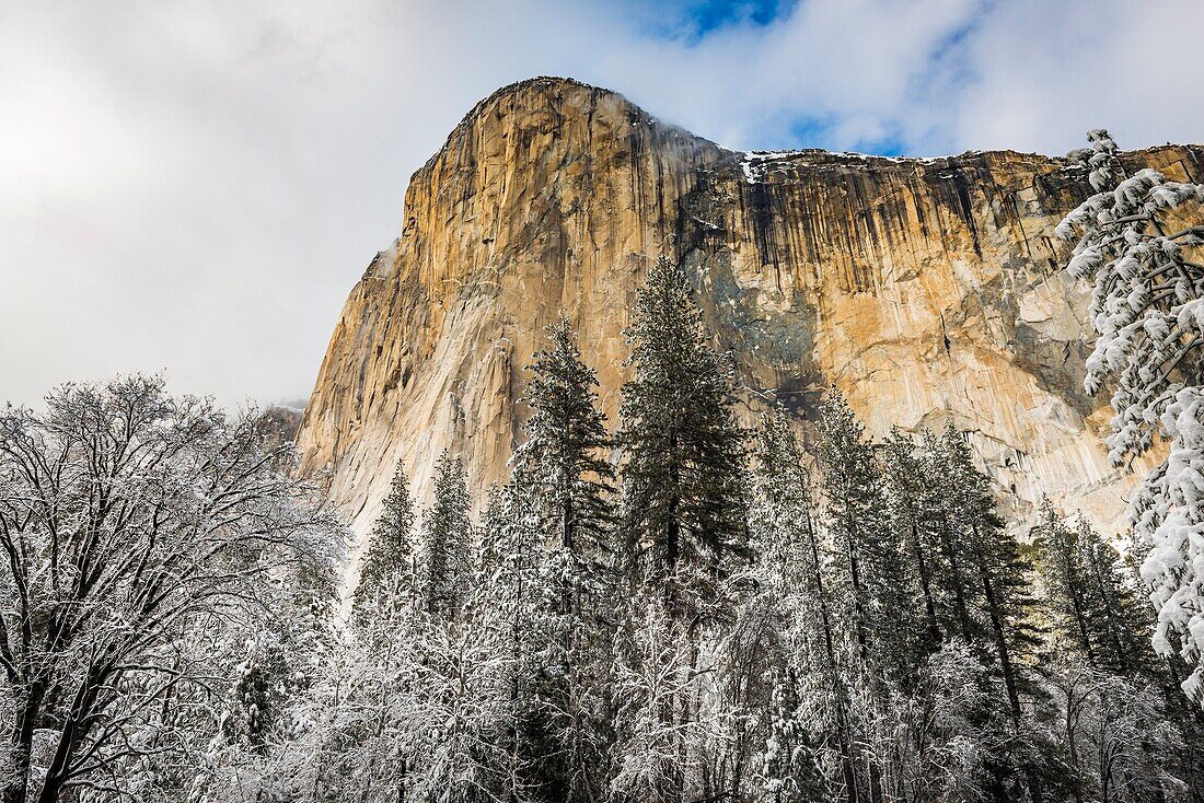 El Capitan in winter, Yosemite National Park, California USA.