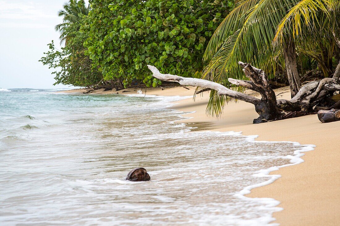 Beautiful beaches on the island of red Frog Beach resort in Bocas del Toro.