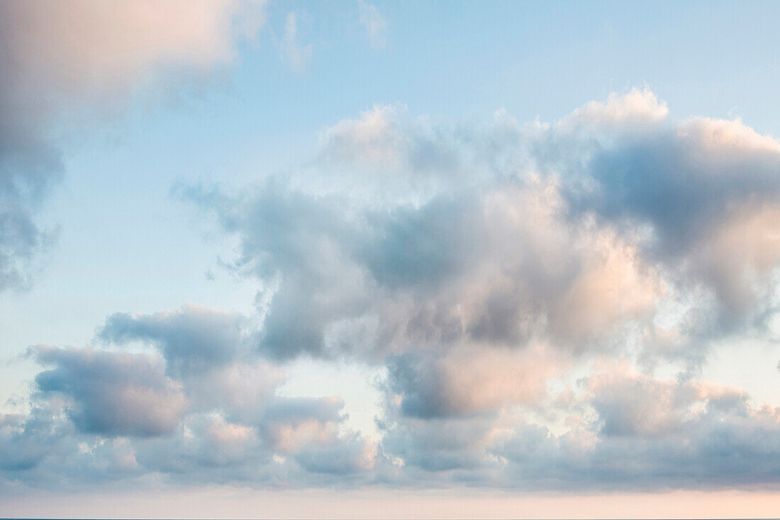 Cumulus-Wolken und blauer Himmel, abends, Cumulus, Haufenwolke, Quellwolke, Schäfchenwolke