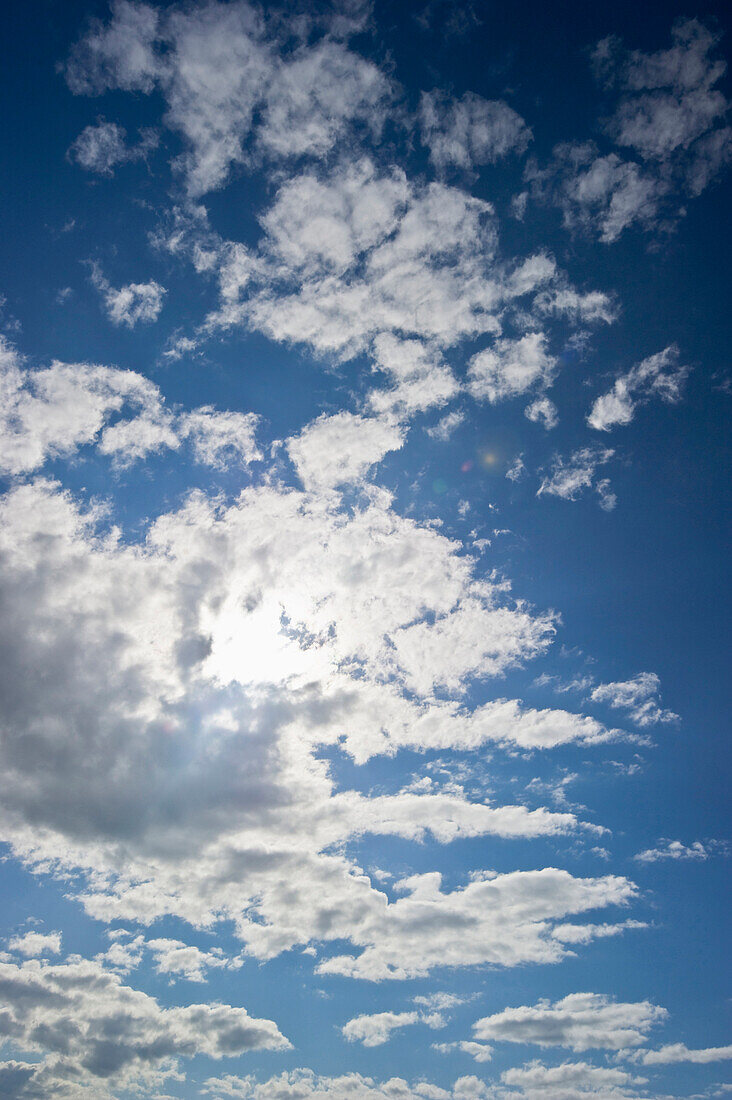 Cumulus-Wolken und blauer Himmel mit Sonne, Cumulus, Haufenwolke, Quellwolke, Schäfchenwolke