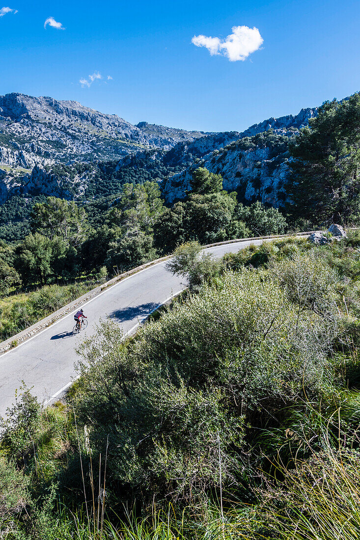 Ein Radfahrer auf der berühmten Serpentinenstrasse die zum Torrent de Pareis führt, Sa Calobra, Tramuntana Gebirge, Mallorca, Spanien