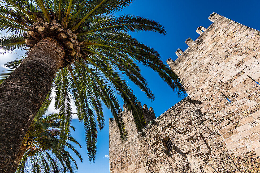 City gate with palm tree, Alcudia, Mallorca, Spain