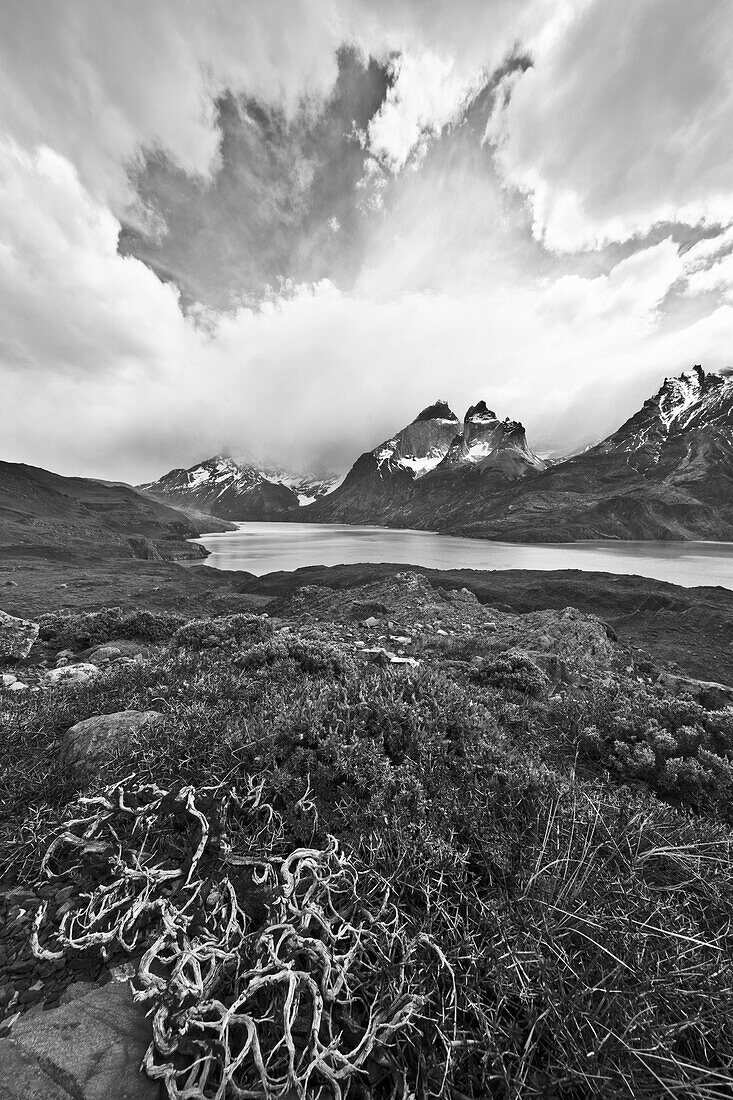 Granite peaks in spring, Lake Pehoe, Torres del Paine, Torres del Paine National Park, Patagonia, Chile