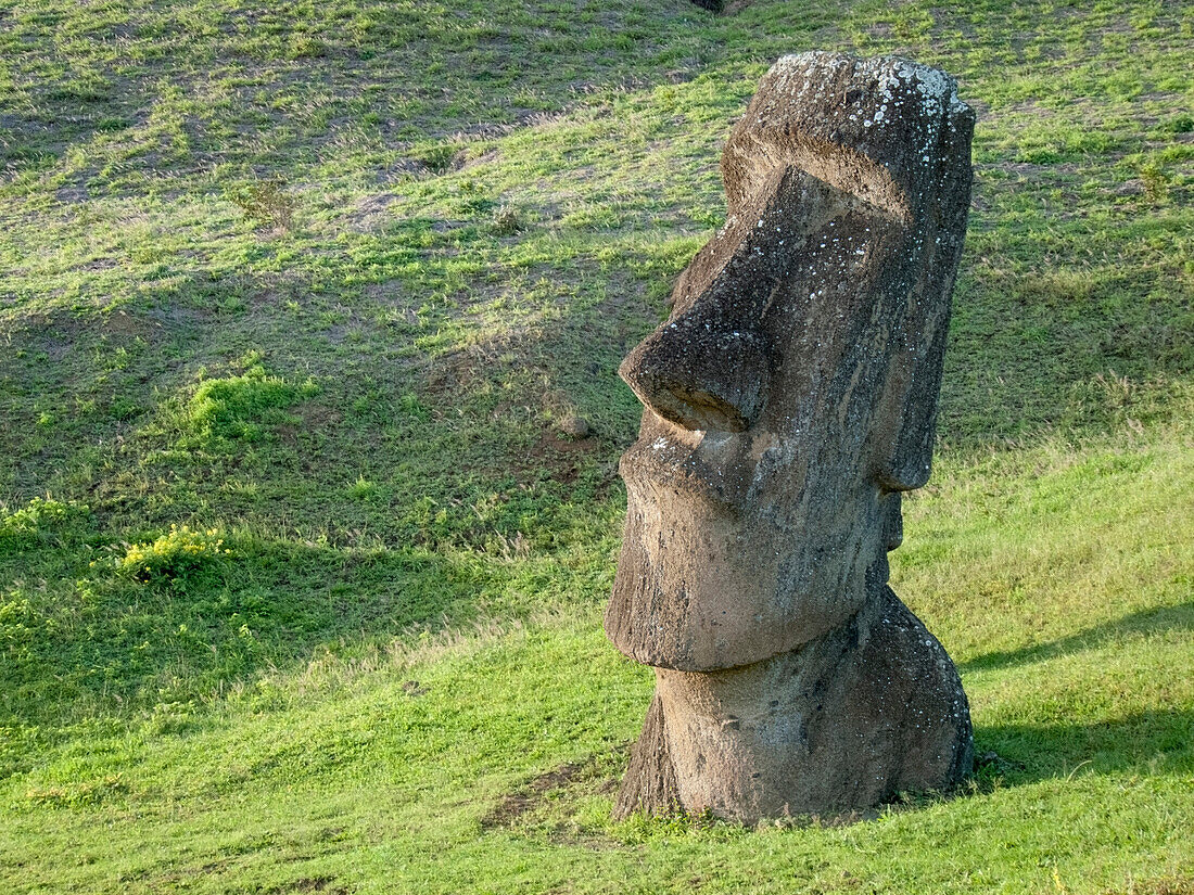Moai statue, Rano Raraku, Easter Island, Chile
