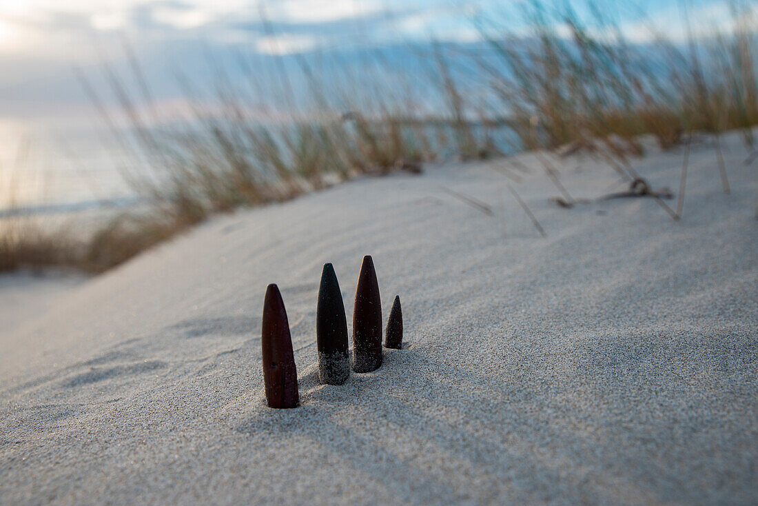 bullets in the military base, Teulada, Cagliari Province, Sardinia, Italy, Europe.