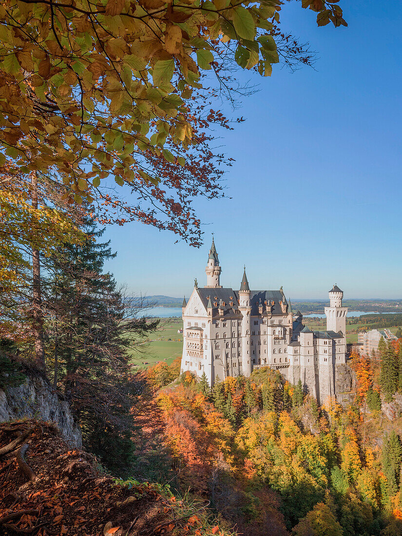 Neuschwanstein Castle, Schwangau, Ostallgäu, Schwaben, Bavaria, Germany