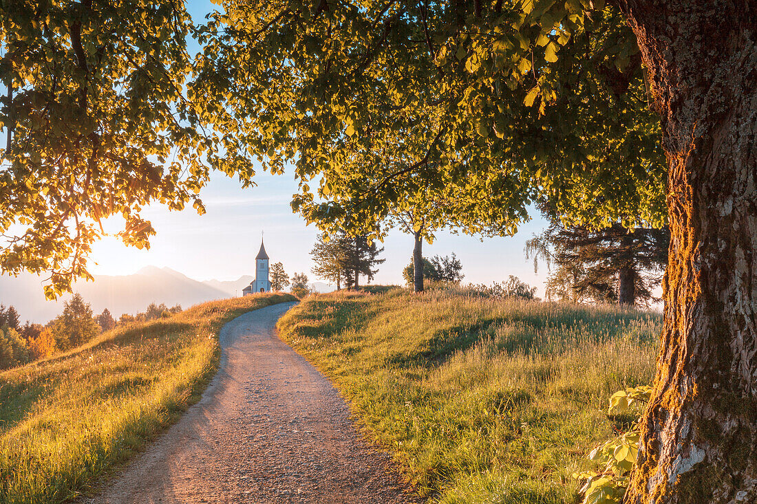 Church of St Primus and Felician in Jamnik, Kranj, Upper Carniola, Slovenia