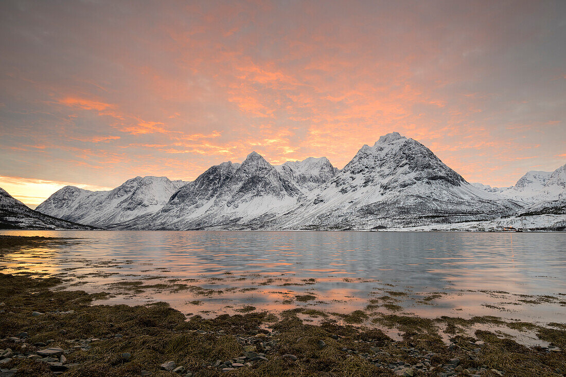 The sunrise on the beach by frozen sea and snowy peaks, Svensby, Lyngen Alps, Tromso, Norway, Europe