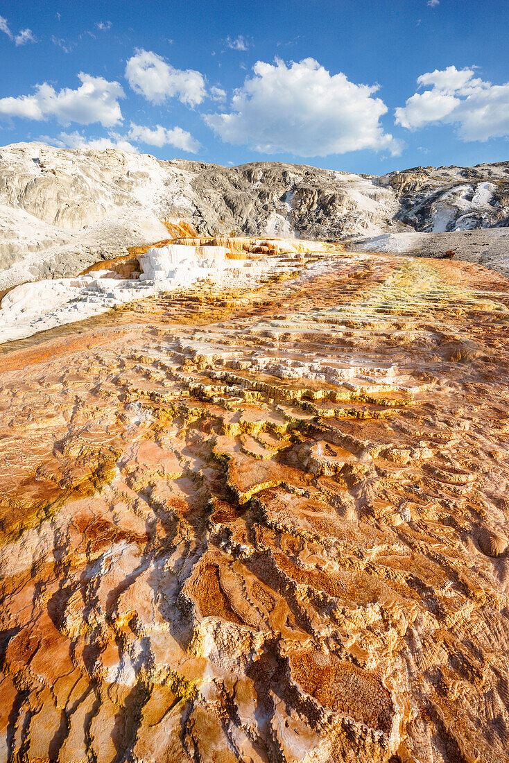 Mineral deposition at Mammoth Hot Springs, Yellowstone Natural Park; Wyoming; USA