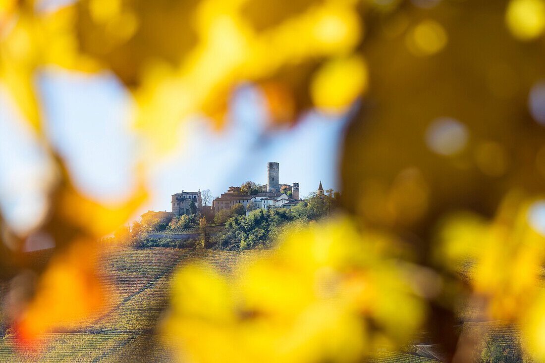 Langhe, Cuneo district, Piedmont, Italy, Europe. Barolo wine region, Castiglione Falletto castle