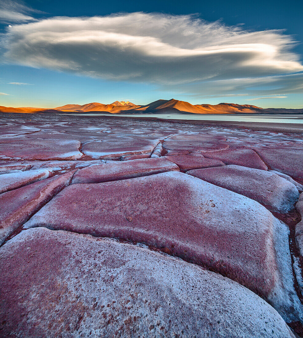 Salar de Talar salt flat and Piedras Rojas lava flow in altiplano, Socaire, Chile