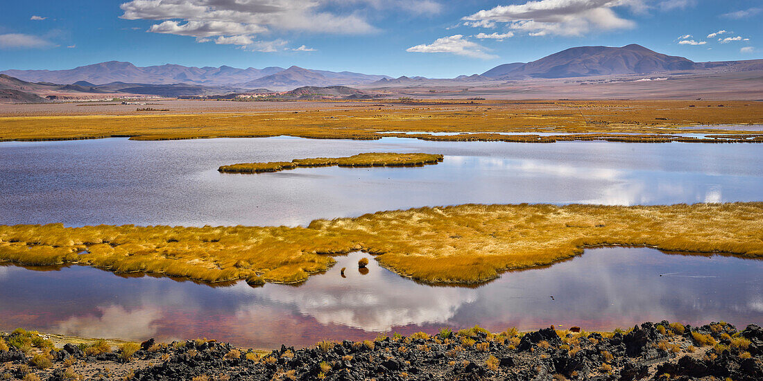 Lake in puna, Antofagasta de la Sierra, Argentina