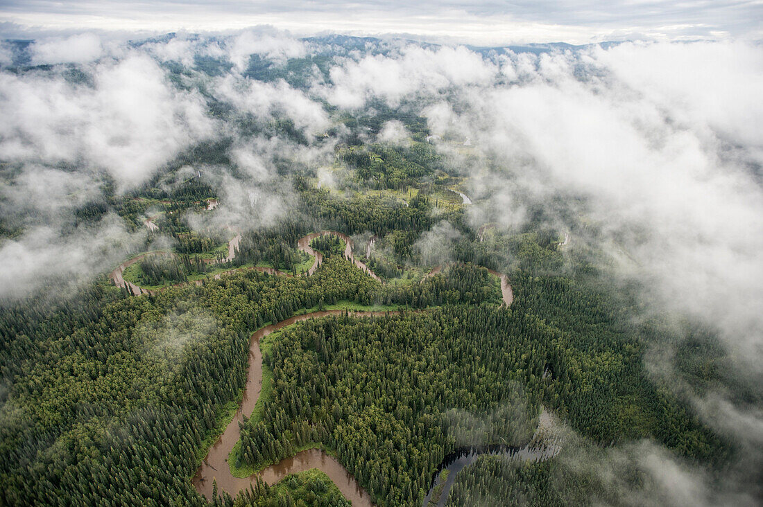 Winding river in boreal forest, Yukon-Charley Rivers National Preserve, Alaska