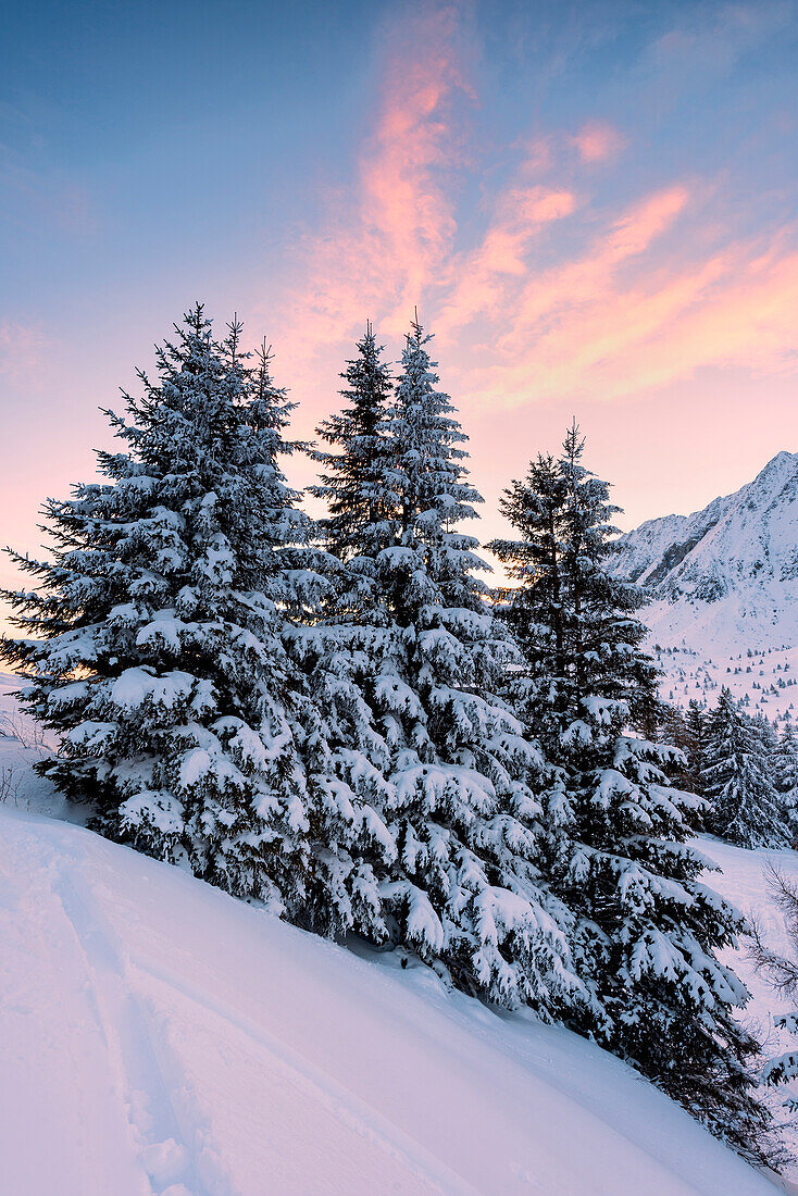 Sunrise in Tonale pass, Lombardy district, Brescia province, Italy, Europe.