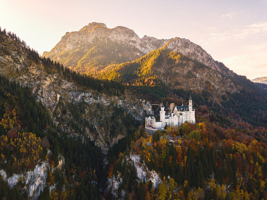 Neuschwanstein Castle in Autumn aerial view Europe, Germany, Bavaria, southwest Bavaria, Fussen, Schwangau