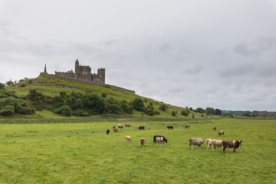 The Celtic cathedral Rock of Cashel, Tipperary, Ireland