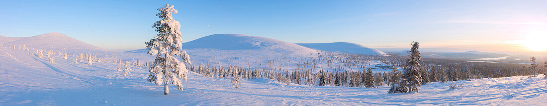 Panoramic of snowy woods around Lapland Hotel Pallas, Pallas-Yllastunturi National Park, Muonio, Lapland, Finland