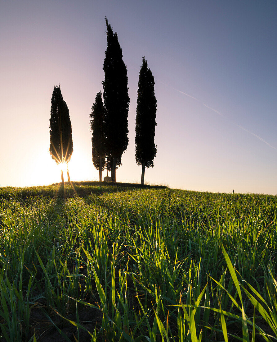 Val d'Orcia, Tuscany, Italy