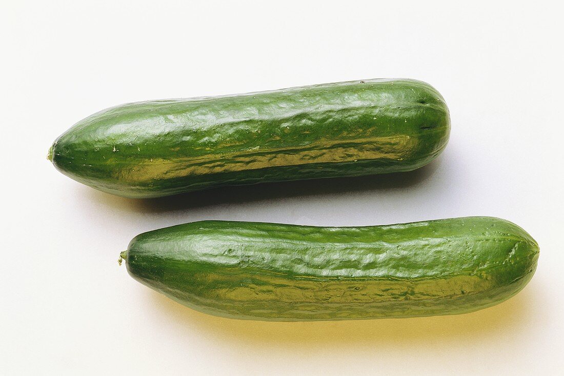 Cucumbers for Pickling