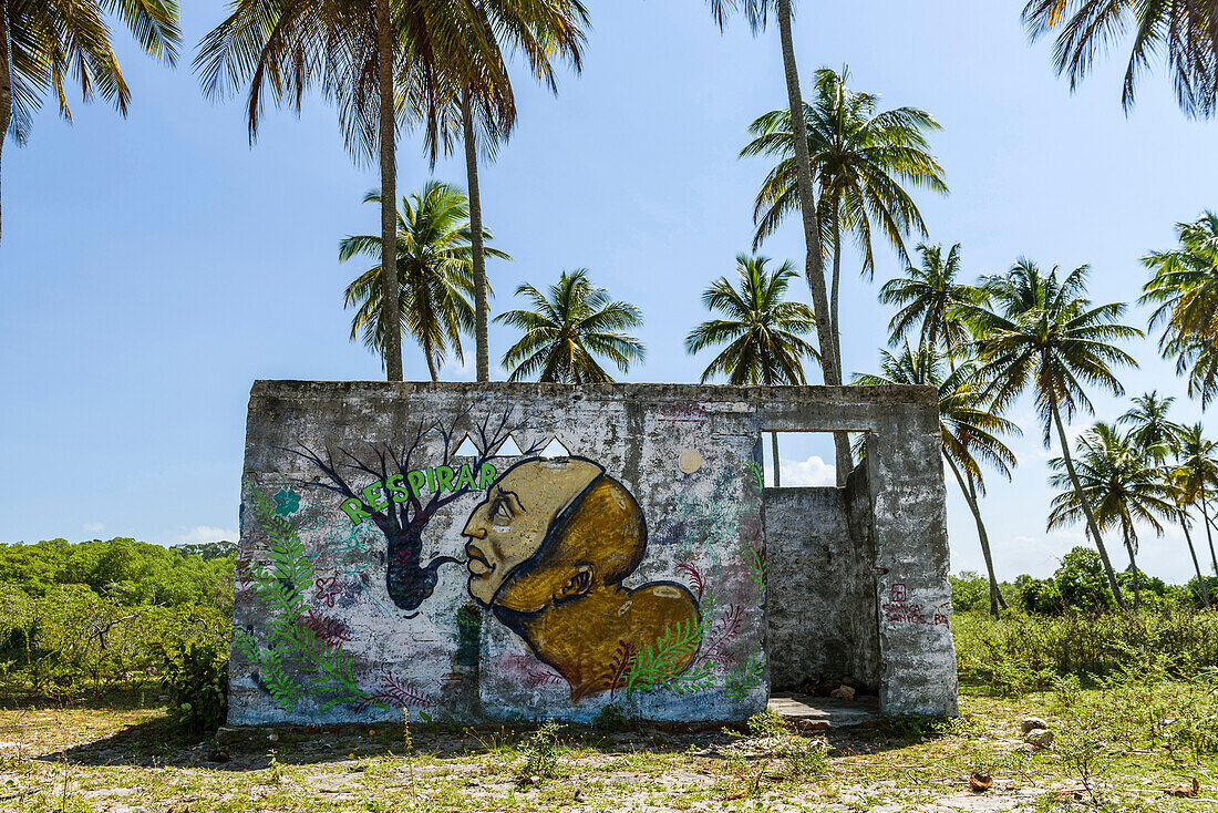 Small abandoned building with graffiti in tropical scenery with palm trees, Boipeba Island, Bahia, Brazil