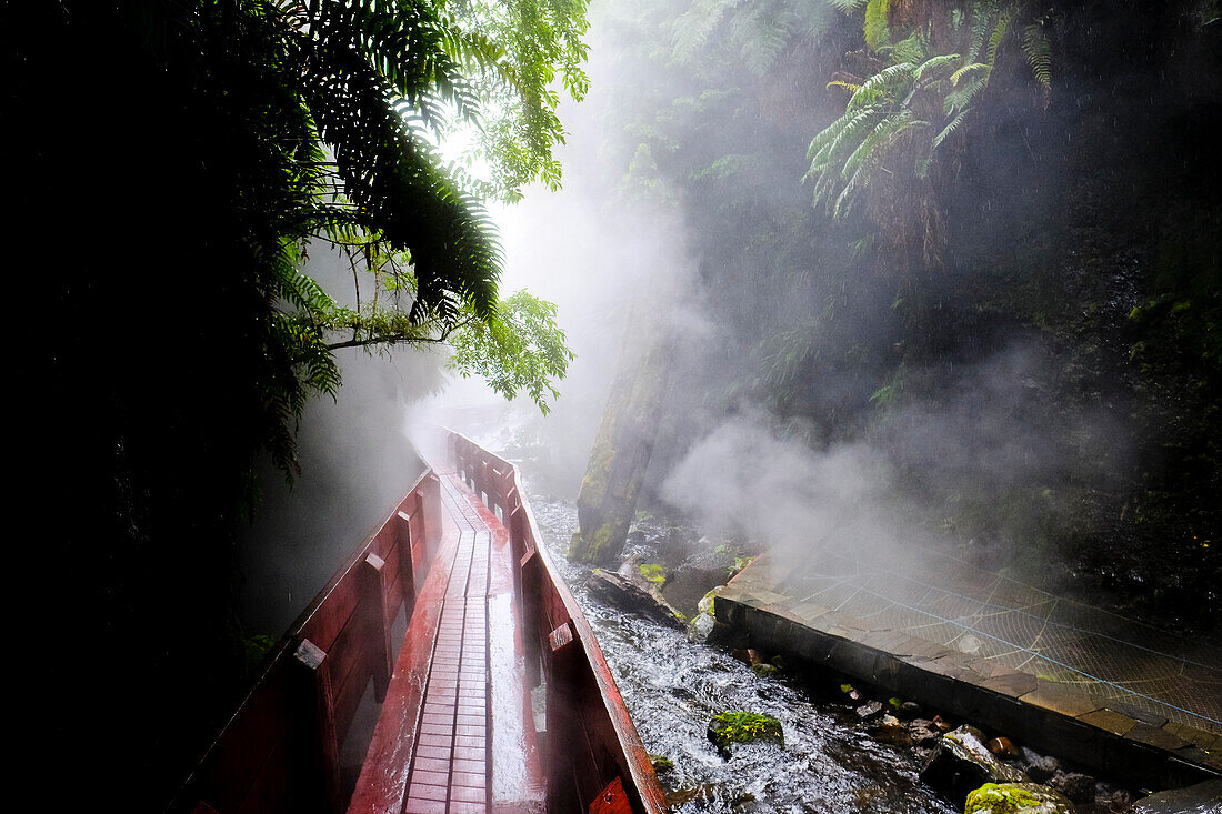 Hot springs, Pucon, Araucania Region, Chile