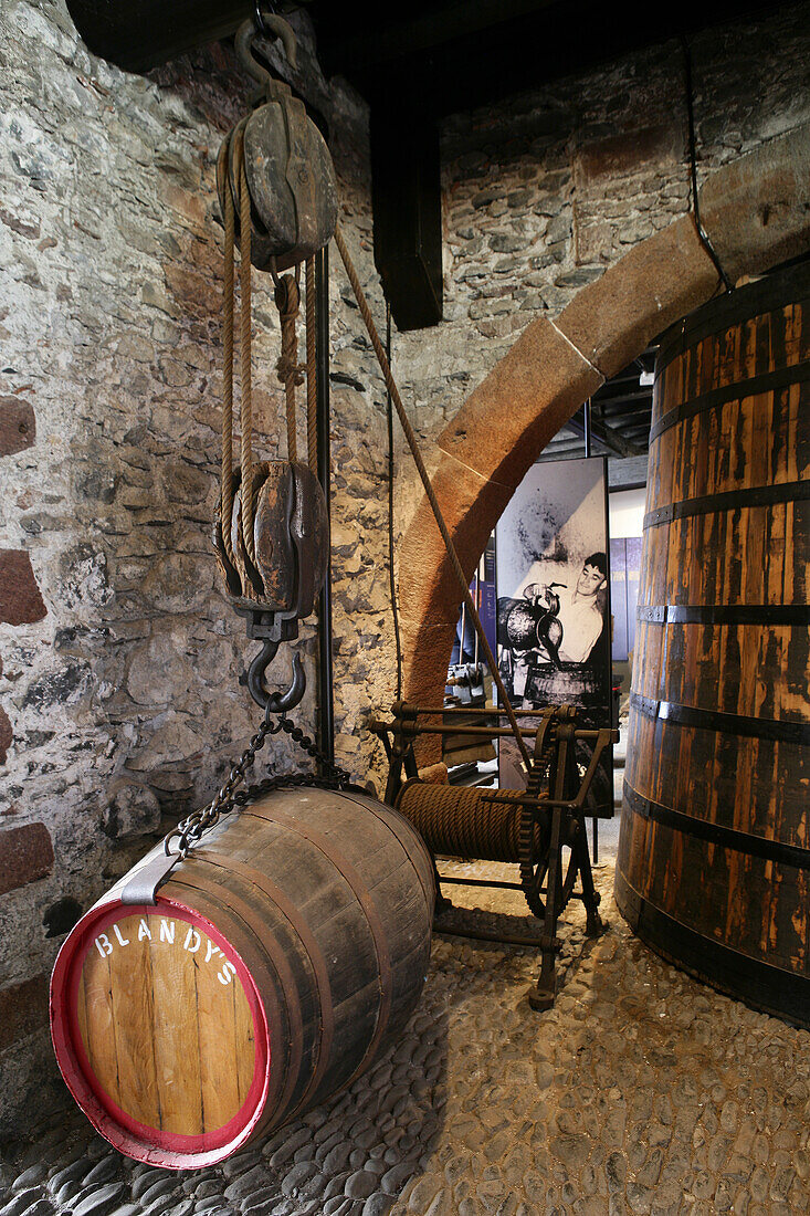 Barrels of Madeira Wine in a cellar at Blandy's Wine Lodge, Funchal, Madeira, Portugal