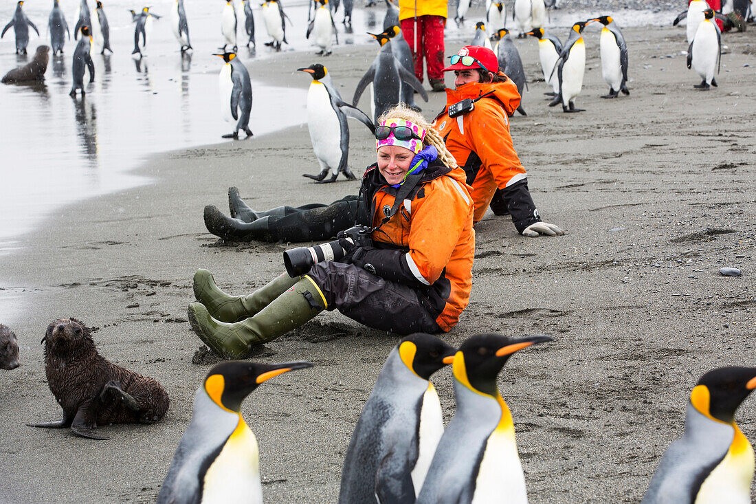 King Penguins on Salisbury Plain, South Georgia, with passengers from an expedition cruise.