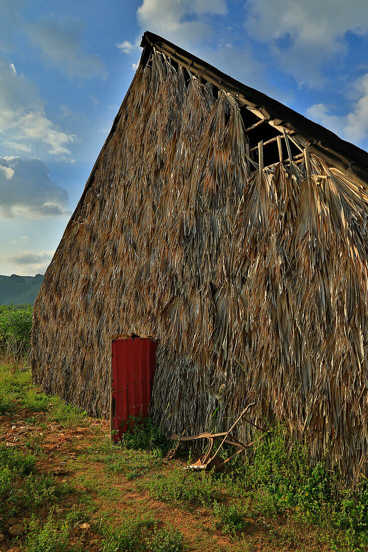 Tobacco fincas plantation drying shed in Vinales valley, western Cuba