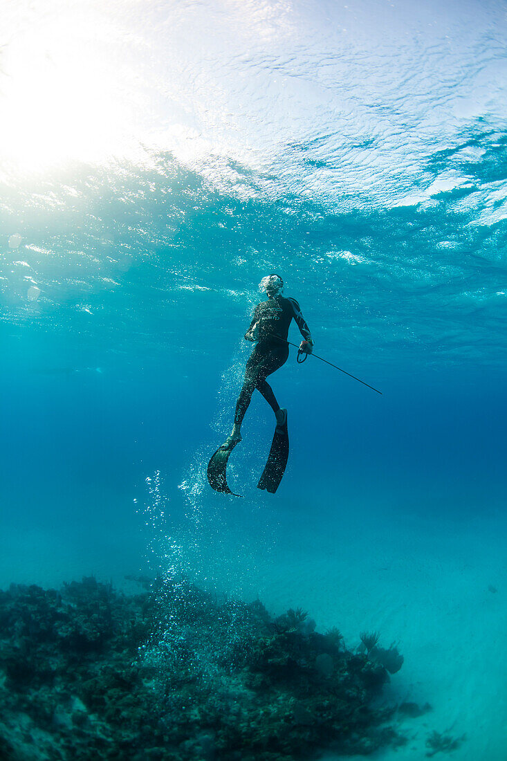 Diver surfacing with caught margate fish while spearfishing in ocean, Clarence Town, Long Island, Bahamas