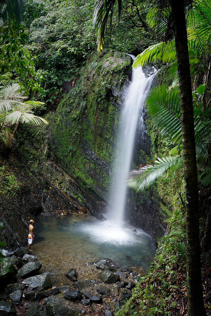 Majestic natural scenery with man standing below one of San Diego waterfalls in El Yunque Rainforest, Rio Grande, Puerto Rico