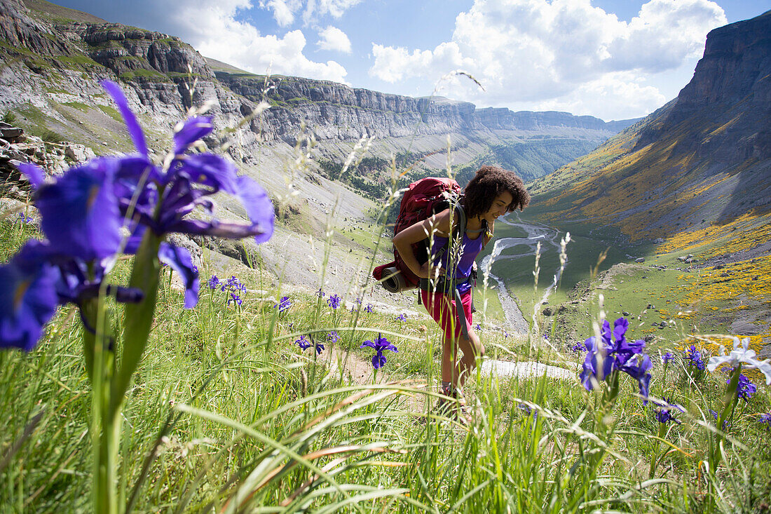 Young female backpacker hiking among wildflowers in Ordesa valley in Pyrenees, Ordesa y Monte Perdido National Park, Huesca, Aragon, Spain