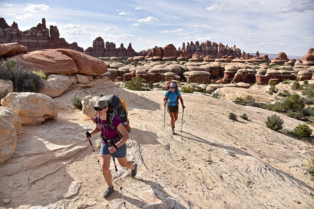 Two female hikers crossing Canyonlands National Park leaving Needles rock formation in distant background, Moab, Utah, USA