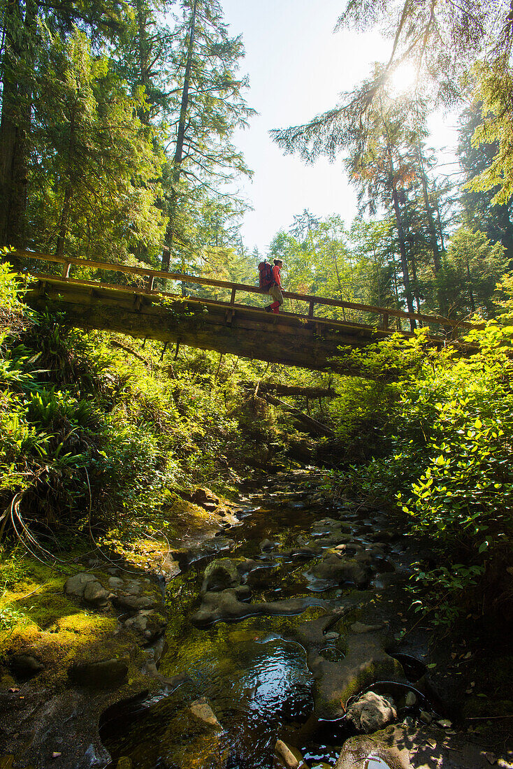 A mid adult woman hikes over a wooden bridge along the West Coast Trail, Pacific Rim National Park on Vancouver Island, British Columbia, Canada as the sun lights the green forest