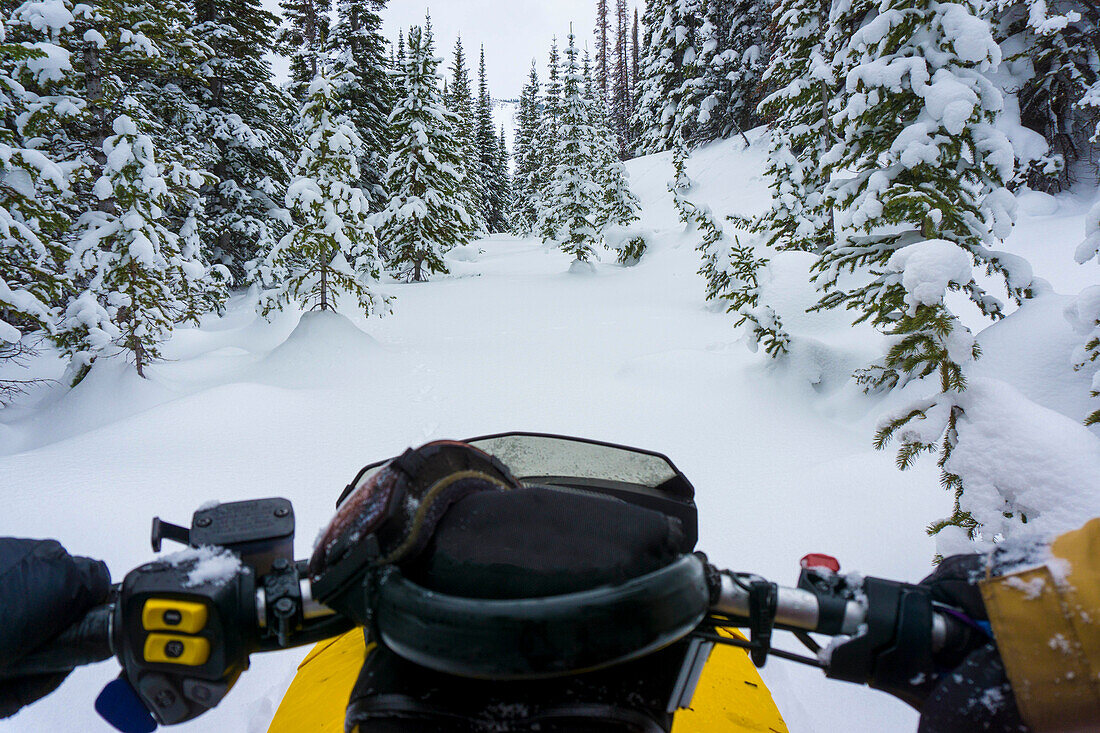 POV snowmobiling through winter forest in Colorado backcountry, USA