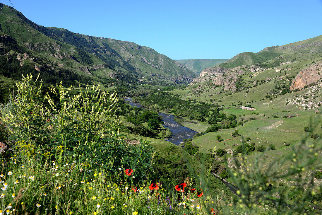 near Vardzia, little Caucasus, Georgia