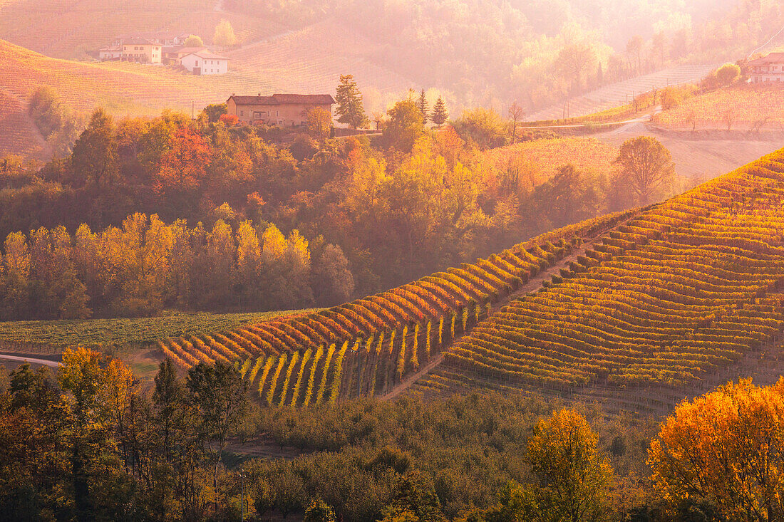 Langhe, Piedmont, Italy. Autumn landscape with vineyards