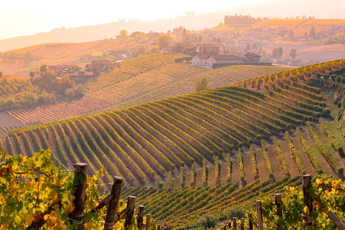 Langhe, Piedmont, Italy. Autumn landscape with vineyards
