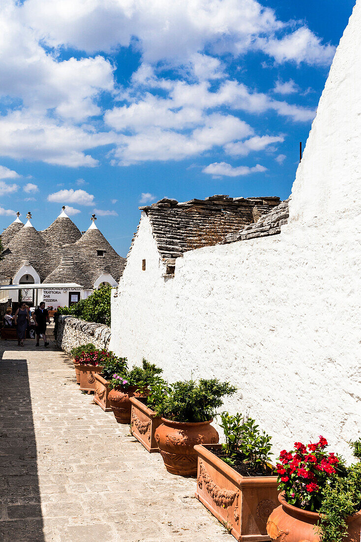 Alberobello village, Bari district, Apulia, Italy