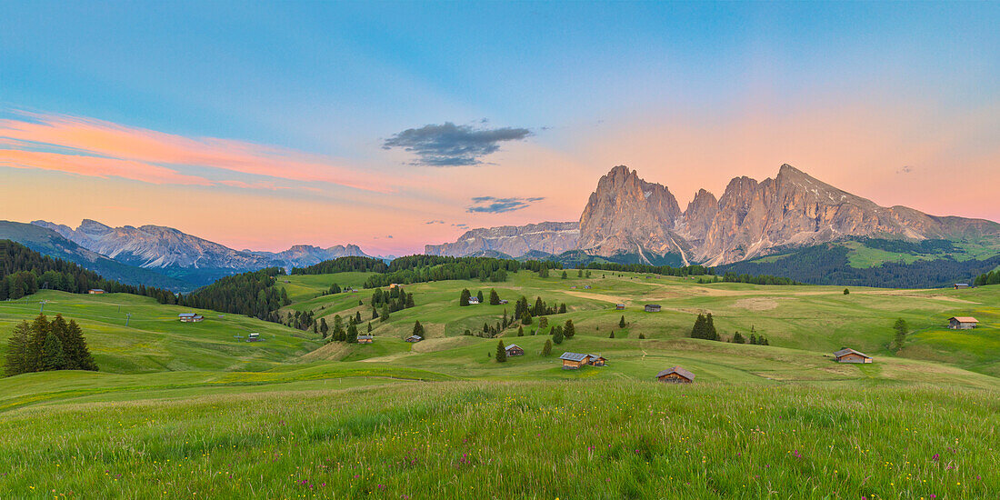 Alpine landscape of the Seiser Alm/Alpe di Siusi with with the Sella, Sassolungo/Langkofel and the Sassopiatto/Plattkofel in the background, Dolomites, South Tyrol, Italy